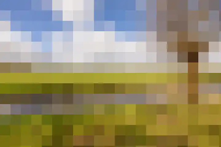 Stationsweg 40 Kwadijk thumbnail 4