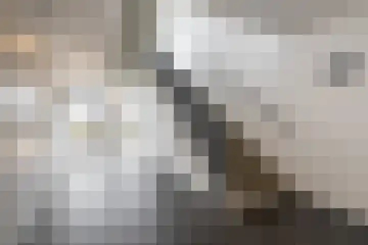 Stationsweg 40 Kwadijk thumbnail 8
