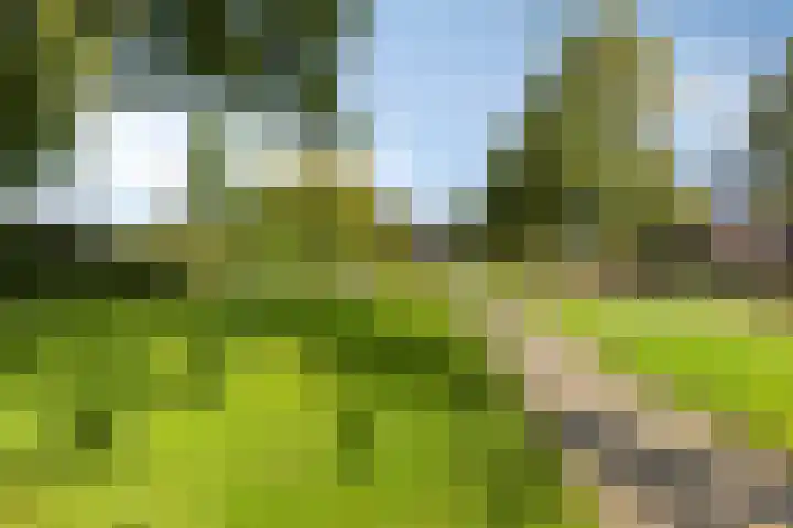 Stationsweg 41 Hoogezand thumbnail 34