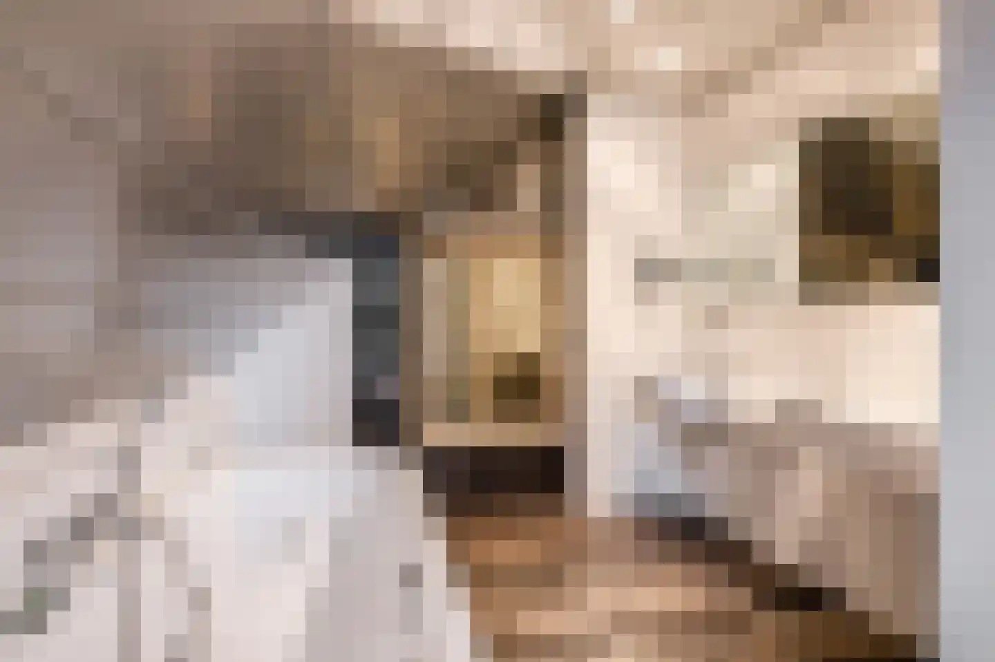 Stationsweg 41 Winschoten thumbnail 36