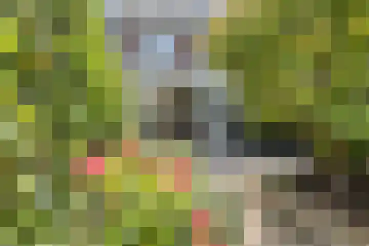 Stationsweg 42 Maarssen thumbnail 32