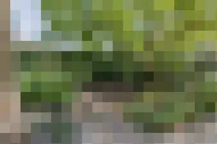 Stationsweg 42 Maarssen thumbnail 7