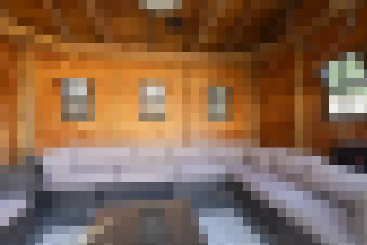 Stationsweg 42 Neede thumbnail 32