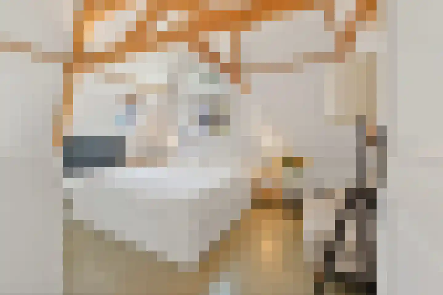 Stationsweg 43 A Den Haag thumbnail 4