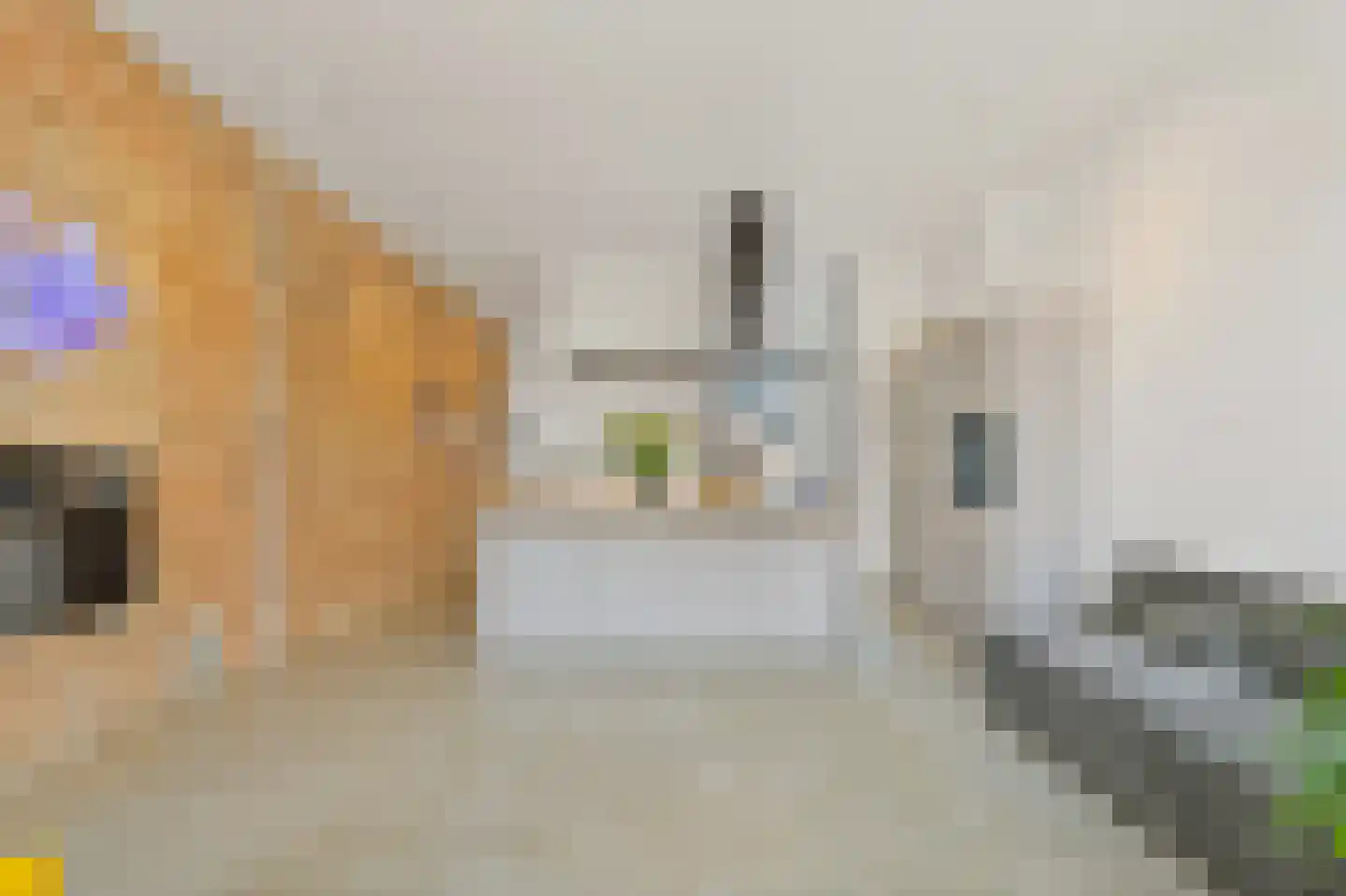 Stationsweg 43 A Den Haag thumbnail 7