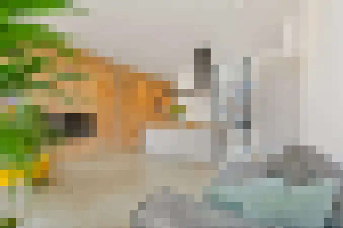 Stationsweg 43 A Den Haag thumbnail 8