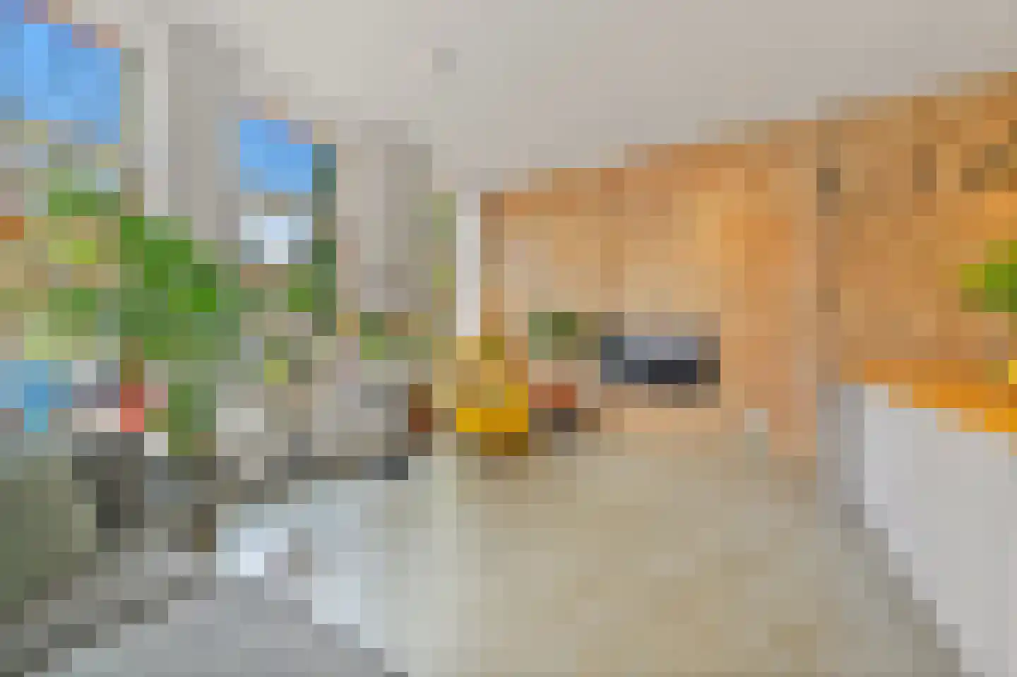 Stationsweg 43 A Den Haag thumbnail 8