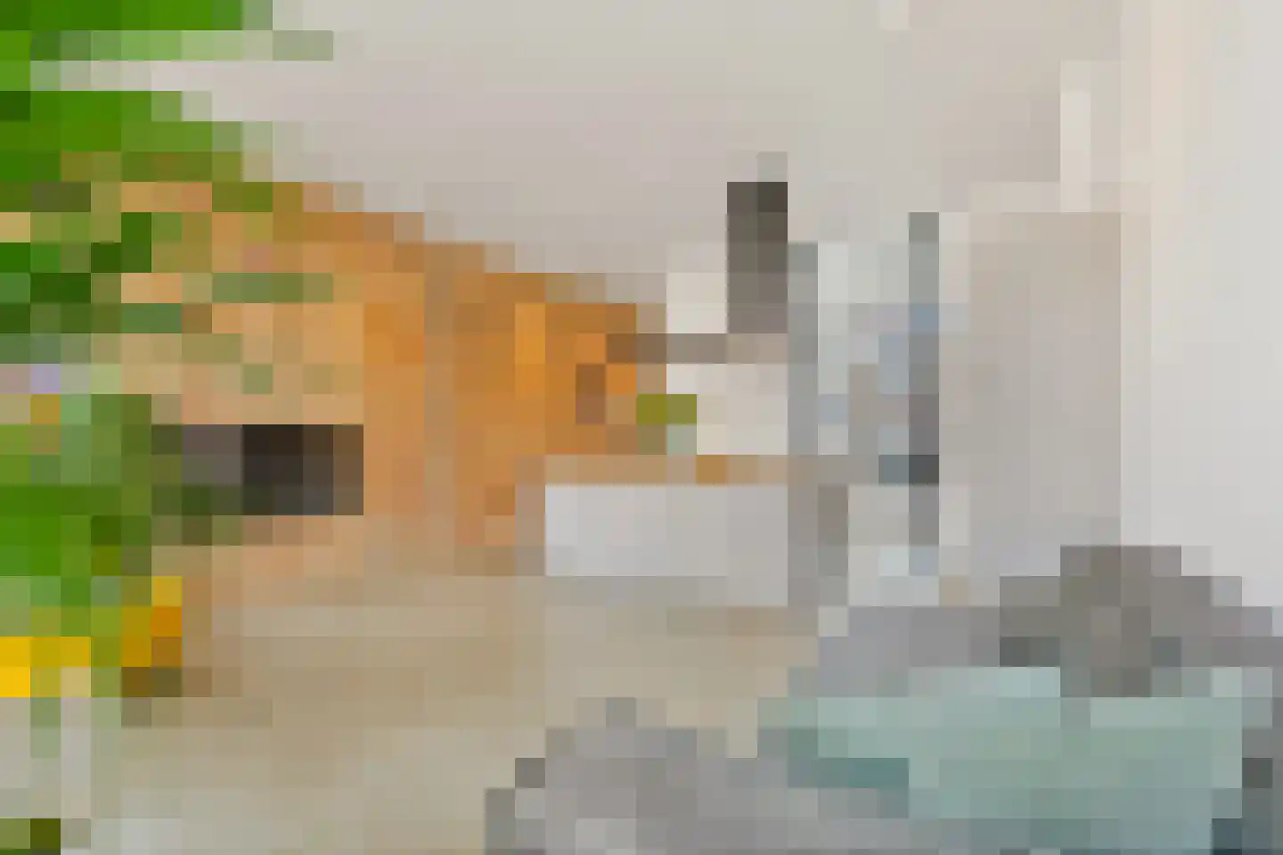 Stationsweg 43 A Den Haag thumbnail 9