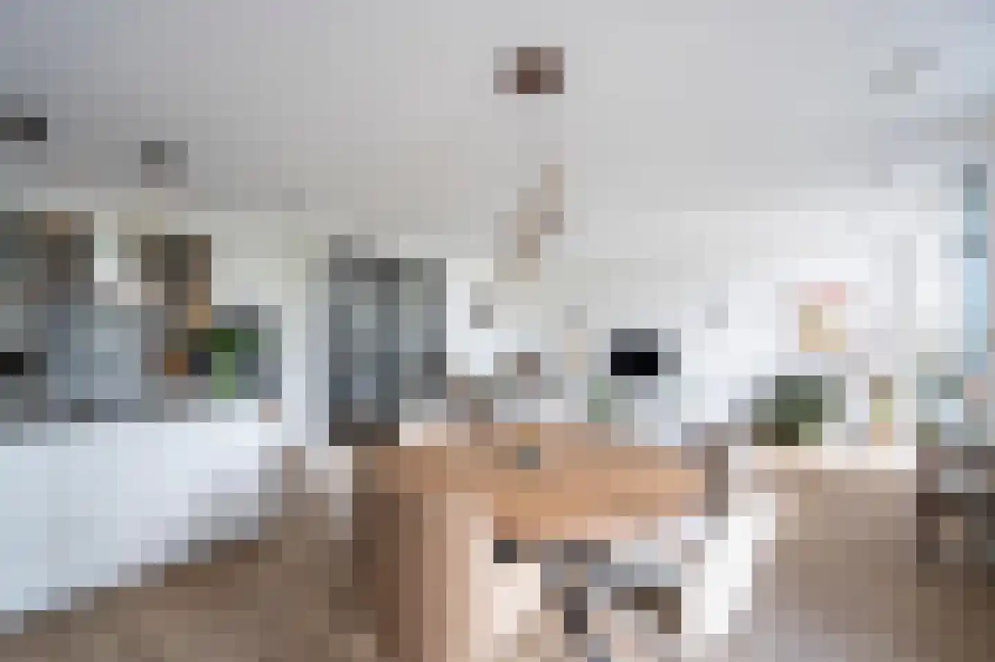 Stationsweg 43 a Gorinchem thumbnail 4