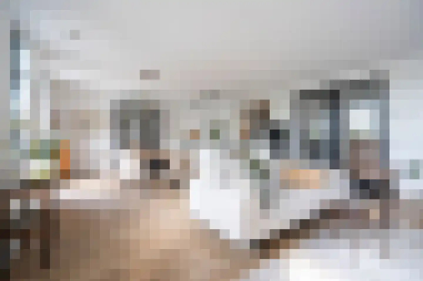 Stationsweg 43 a Gorinchem thumbnail 5