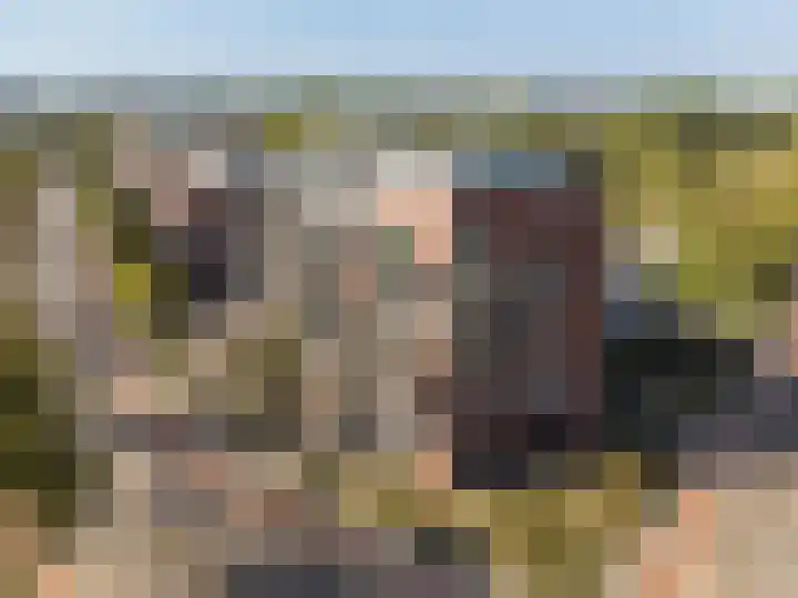 Stationsweg 43 c Gorinchem thumbnail 32