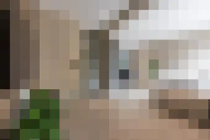 Stationsweg 44 D Heerhugowaard thumbnail 16