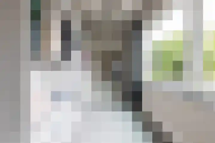 Stationsweg 44 D Heerhugowaard thumbnail 28
