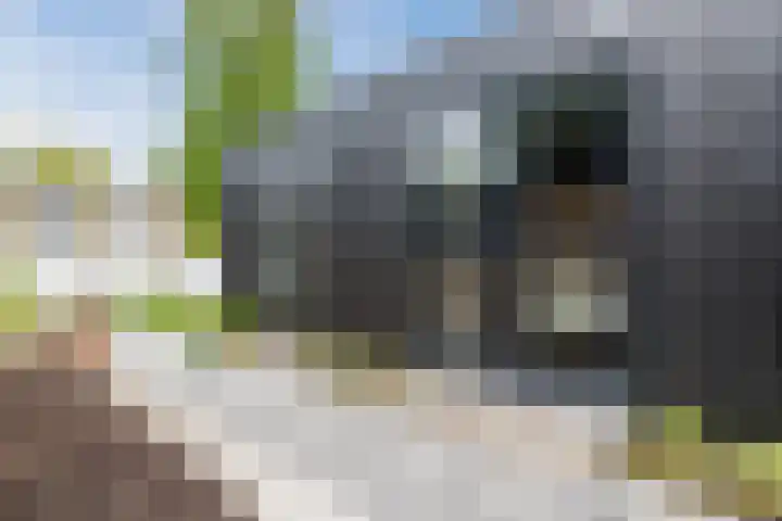 Stationsweg 44 D Heerhugowaard thumbnail 45