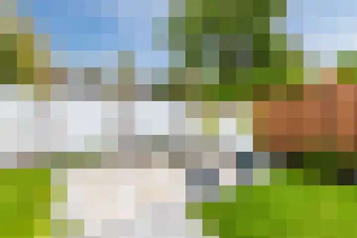 Stationsweg 44 D Heerhugowaard thumbnail 47