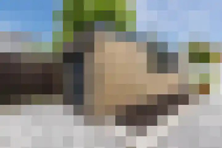 Stationsweg 44 D Heerhugowaard thumbnail 51