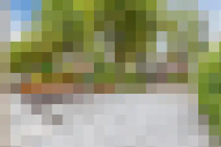 Stationsweg 44 D Heerhugowaard thumbnail 56