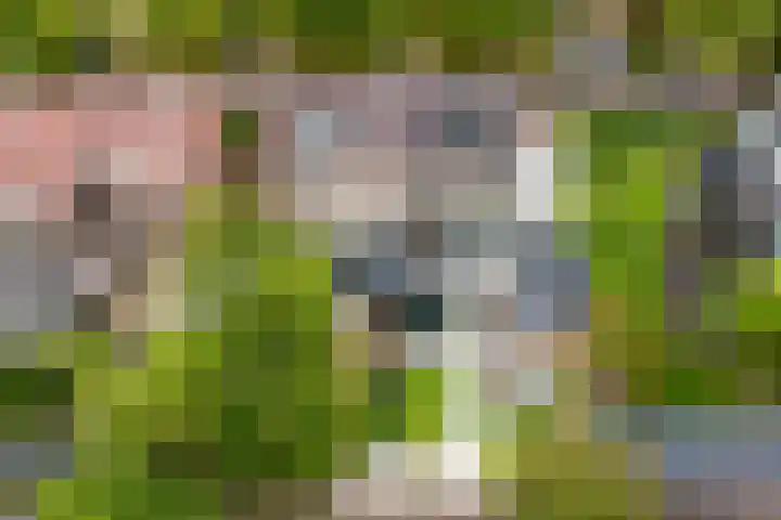 Stationsweg 44 D Heerhugowaard thumbnail 59