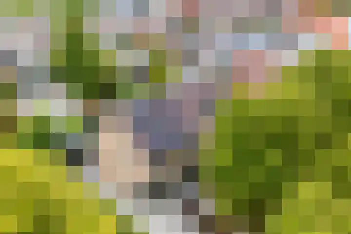 Stationsweg 44 D Heerhugowaard thumbnail 61