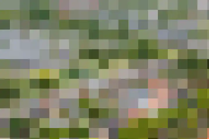 Stationsweg 44 D Heerhugowaard thumbnail 62