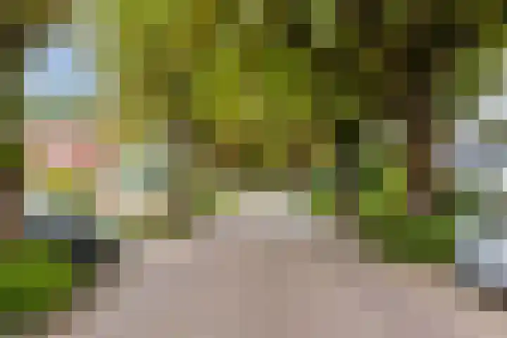 Stationsweg 44 D Heerhugowaard thumbnail 65