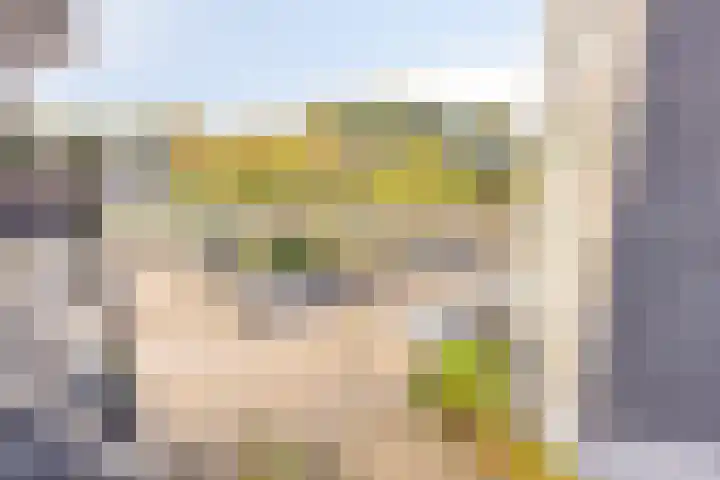 Stationsweg 45 A 34 Zwijndrecht thumbnail 24