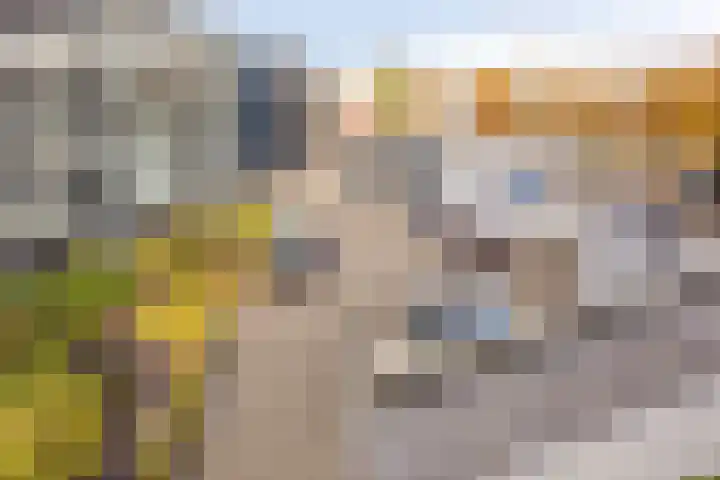 Stationsweg 45 A 34 Zwijndrecht thumbnail 25