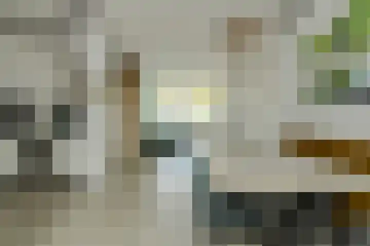 Stationsweg 45 Geertruidenberg thumbnail 26