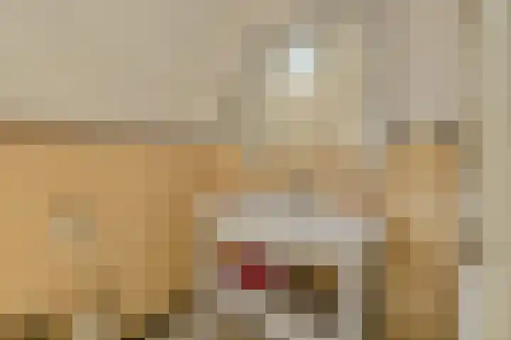 Stationsweg 45 Geertruidenberg thumbnail 38