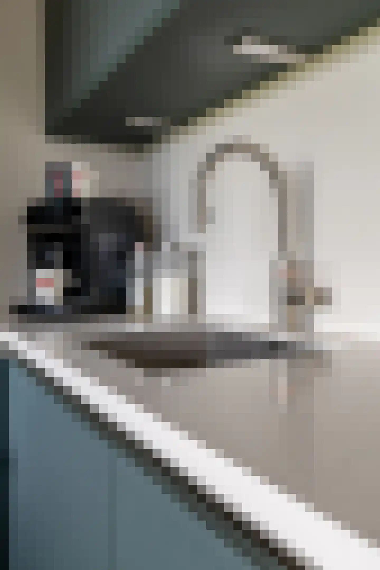 Stationsweg 46 Kwadijk thumbnail 44