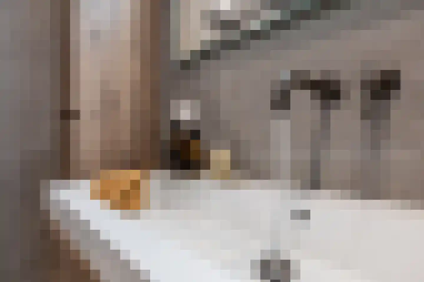 Stationsweg 46 Kwadijk thumbnail 45