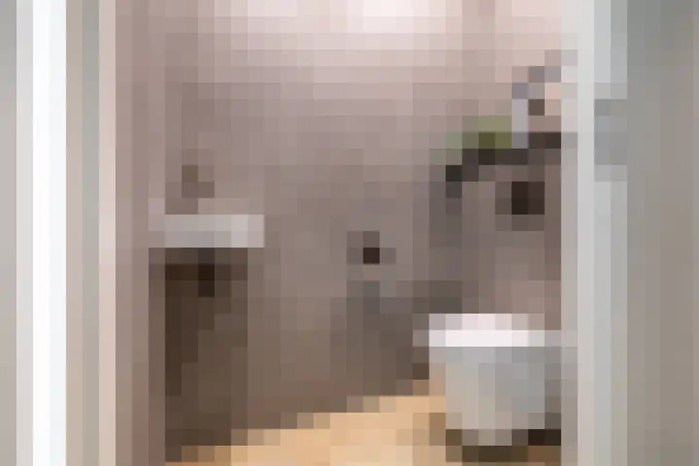 Stationsweg 46 Kwadijk thumbnail 6
