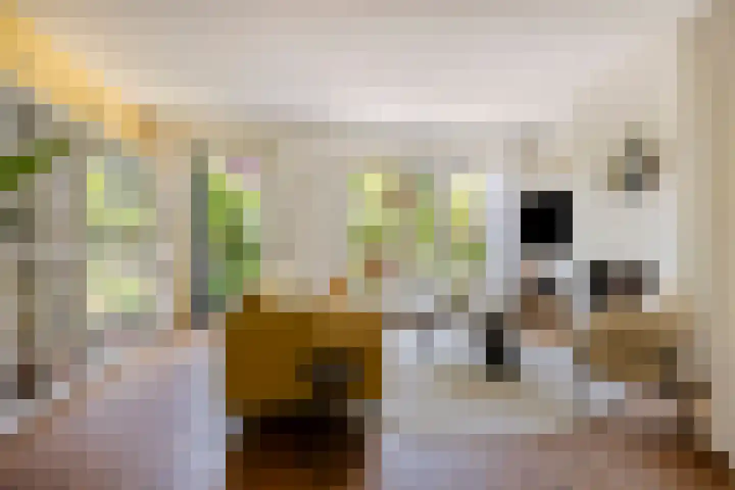 Stationsweg 46 Olst thumbnail 10