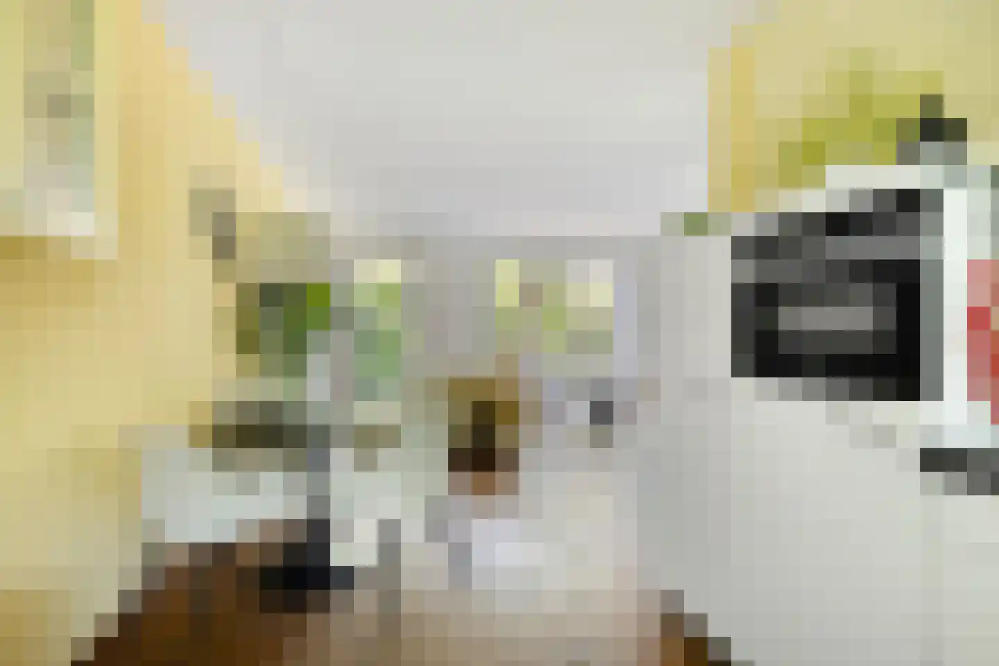 Stationsweg 46 Olst thumbnail 20