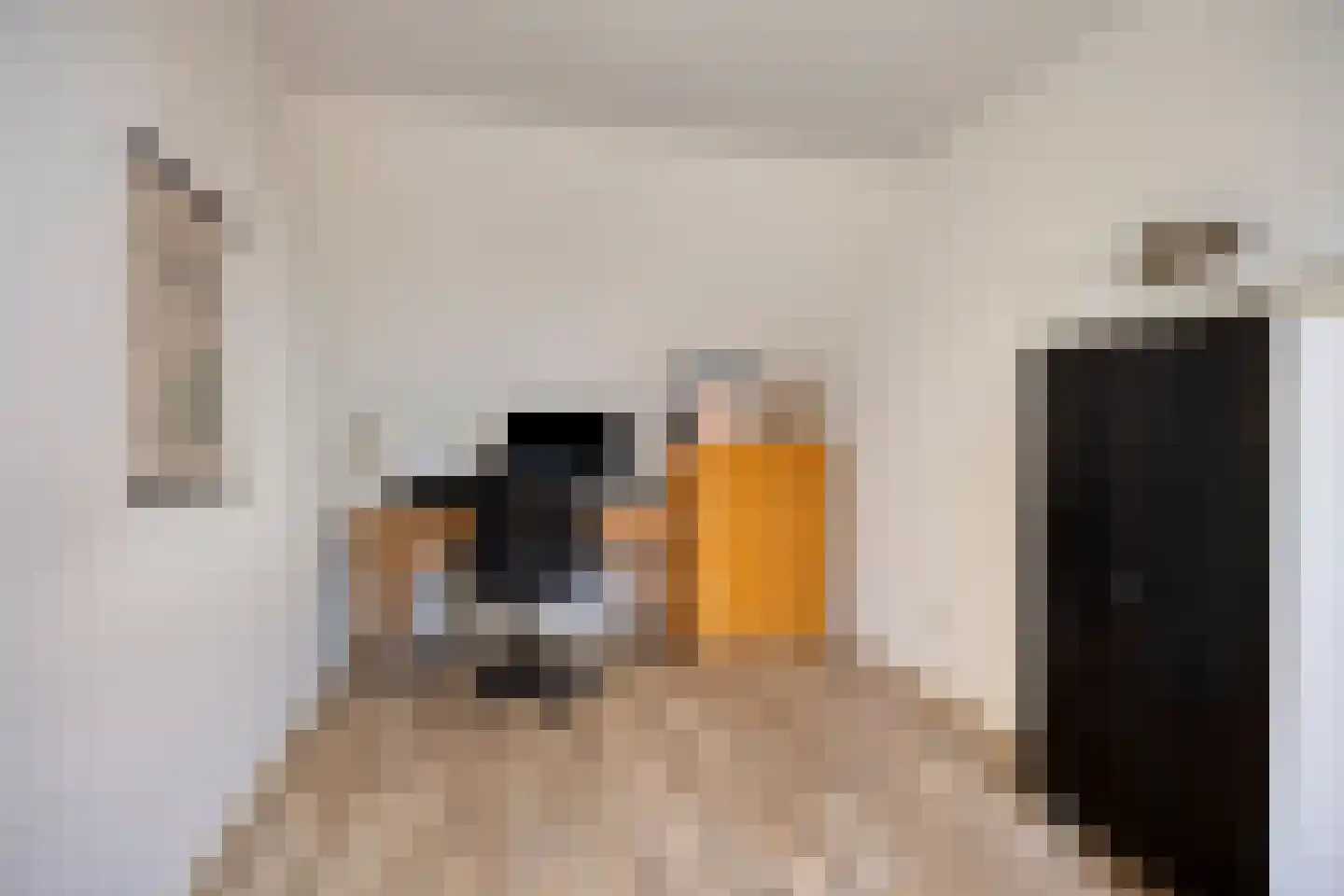Stationsweg 46 Olst thumbnail 34
