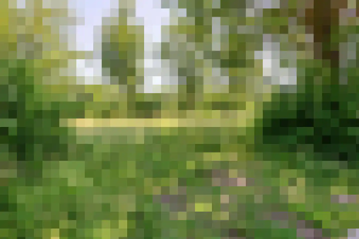 Stationsweg 46 Olst thumbnail 44
