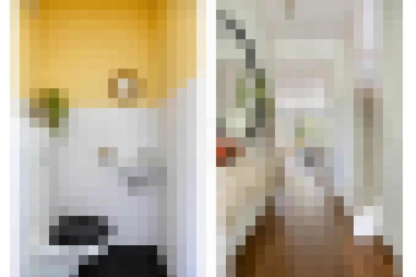Stationsweg 46 Olst thumbnail 9