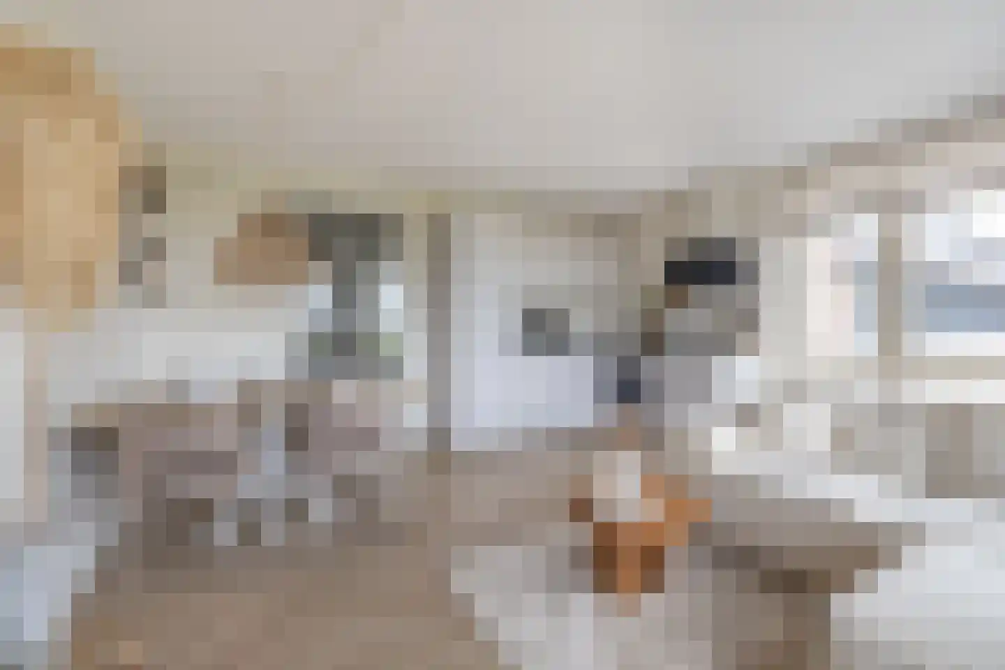 Stationsweg 47 Kwadijk thumbnail 15