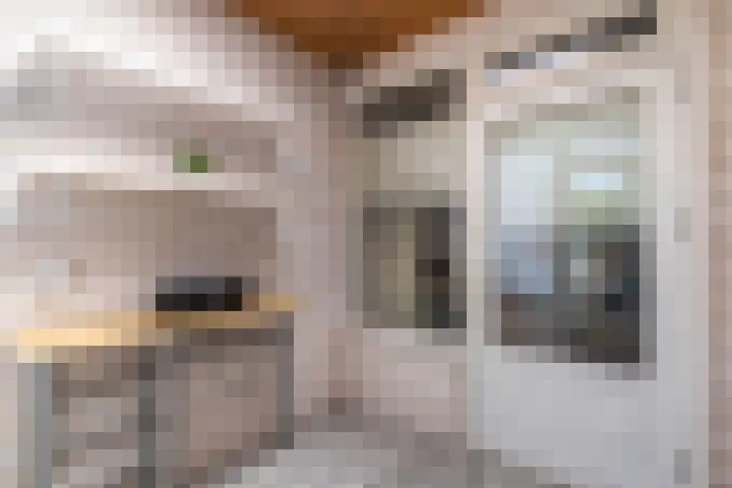Stationsweg 47 Venray thumbnail 17