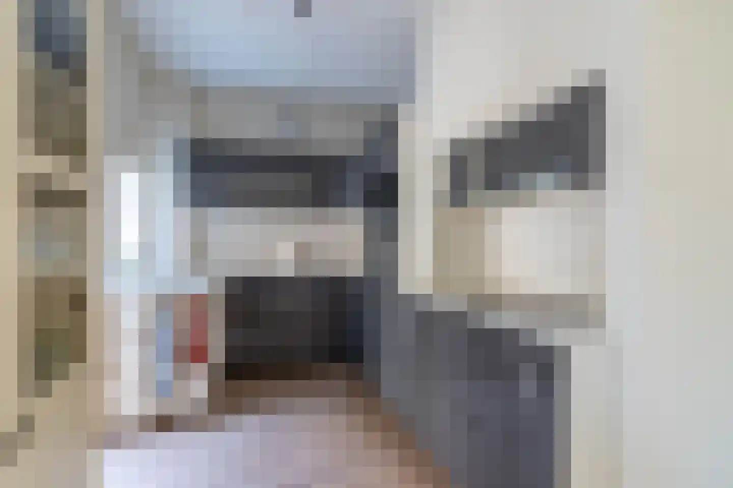 Stationsweg 47 Venray thumbnail 4