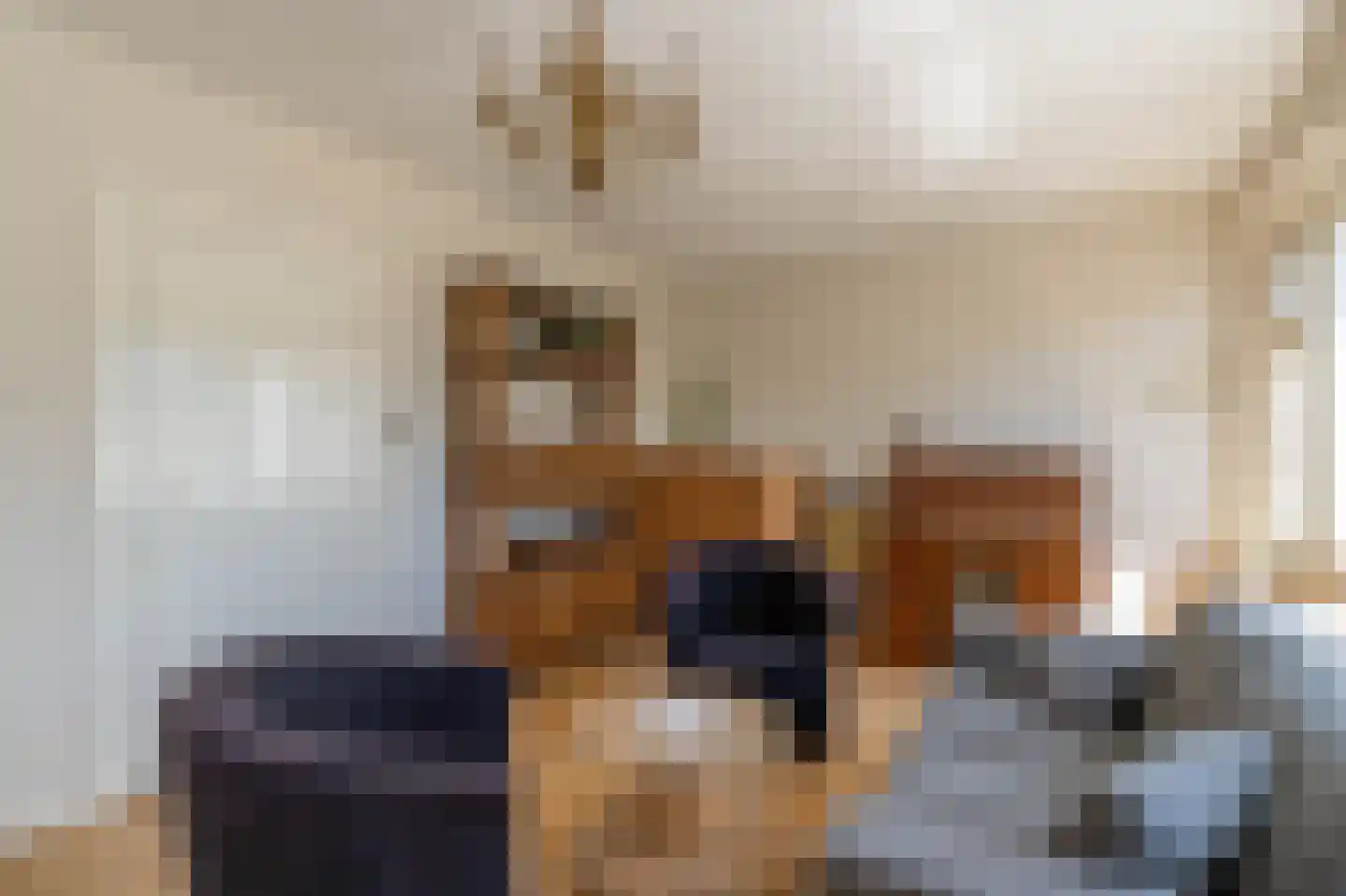 Stationsweg 47 Venray thumbnail 46