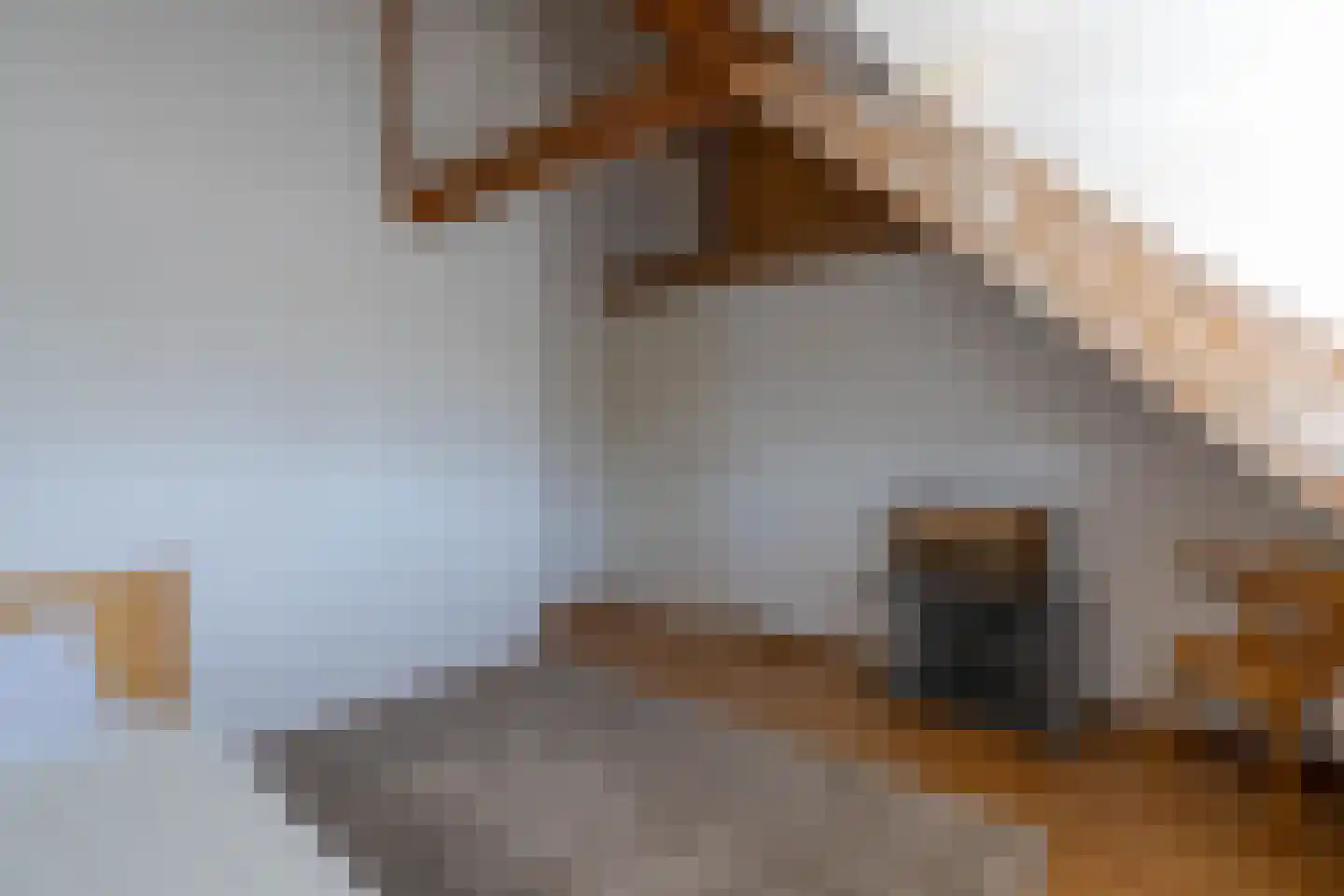 Stationsweg 47 Venray thumbnail 60