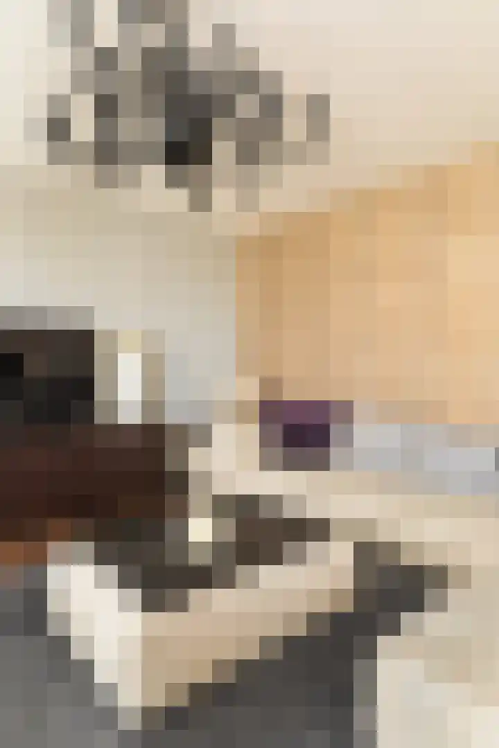 Stationsweg 48 A Eindhoven thumbnail 10