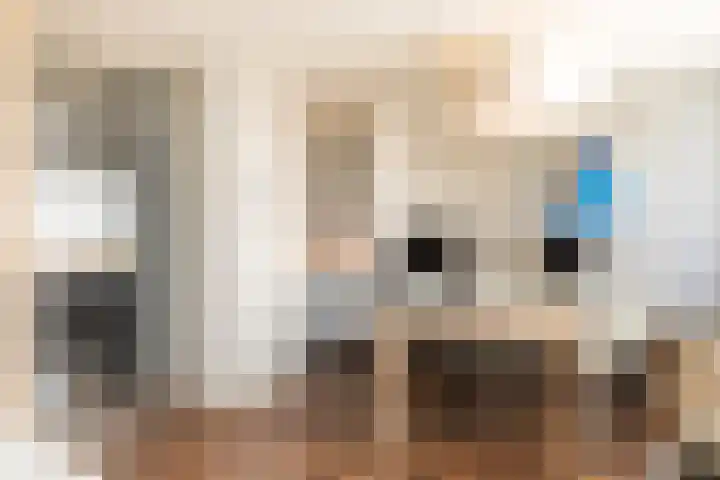 Stationsweg 48 A Eindhoven thumbnail 13