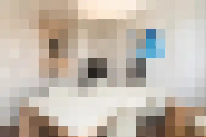Stationsweg 48 A Eindhoven thumbnail 14