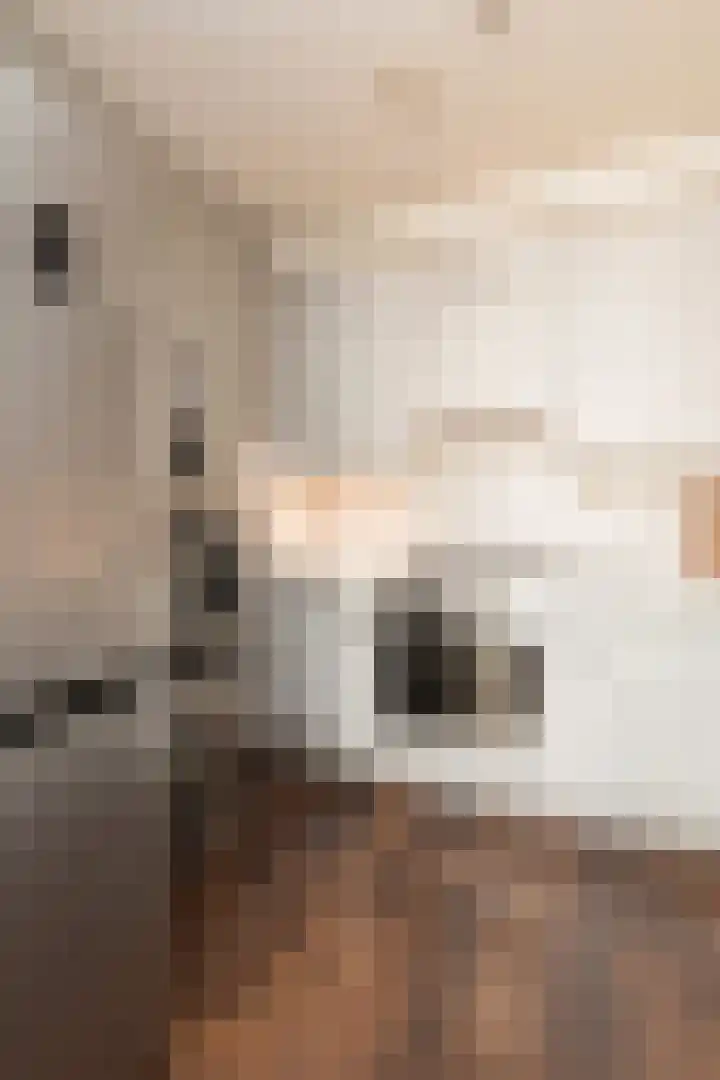 Stationsweg 48 A Eindhoven thumbnail 19
