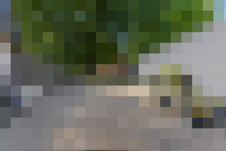 Stationsweg 48 Ede thumbnail 16