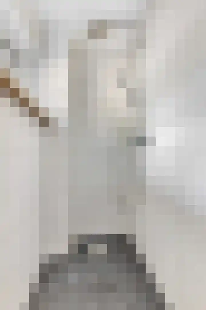Stationsweg 48 Ede thumbnail 21