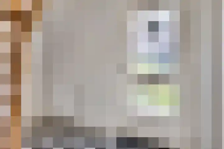 Stationsweg 48 Ede thumbnail 25