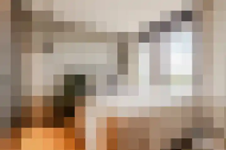 Stationsweg 49 Kwadijk thumbnail 23
